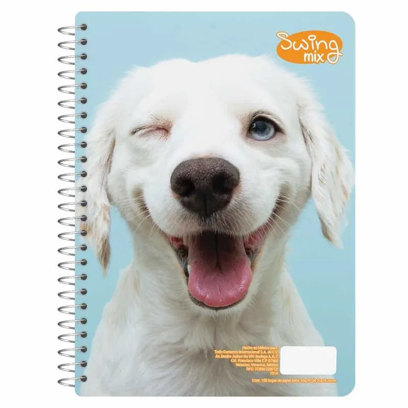 LIBRETA PROFESIONAL DE 100 HOJAS DOBLE RAYA